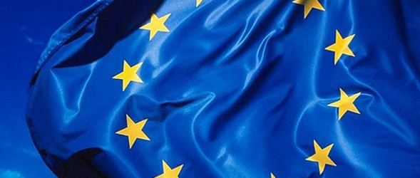 FEPEVAL visita Bruselas para que sus asociados puedan participar en proyectos europeos
