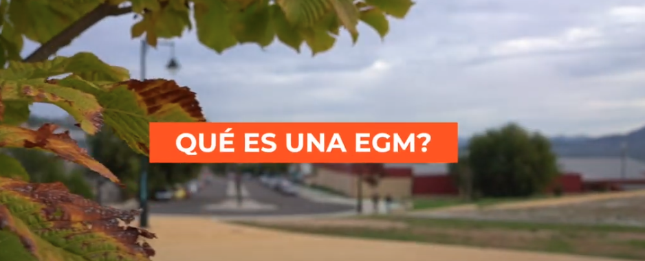 Qué es una EGM?