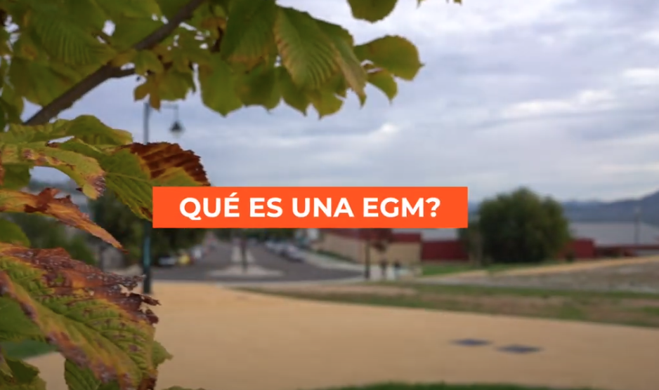 ¿Qué es una EGM?